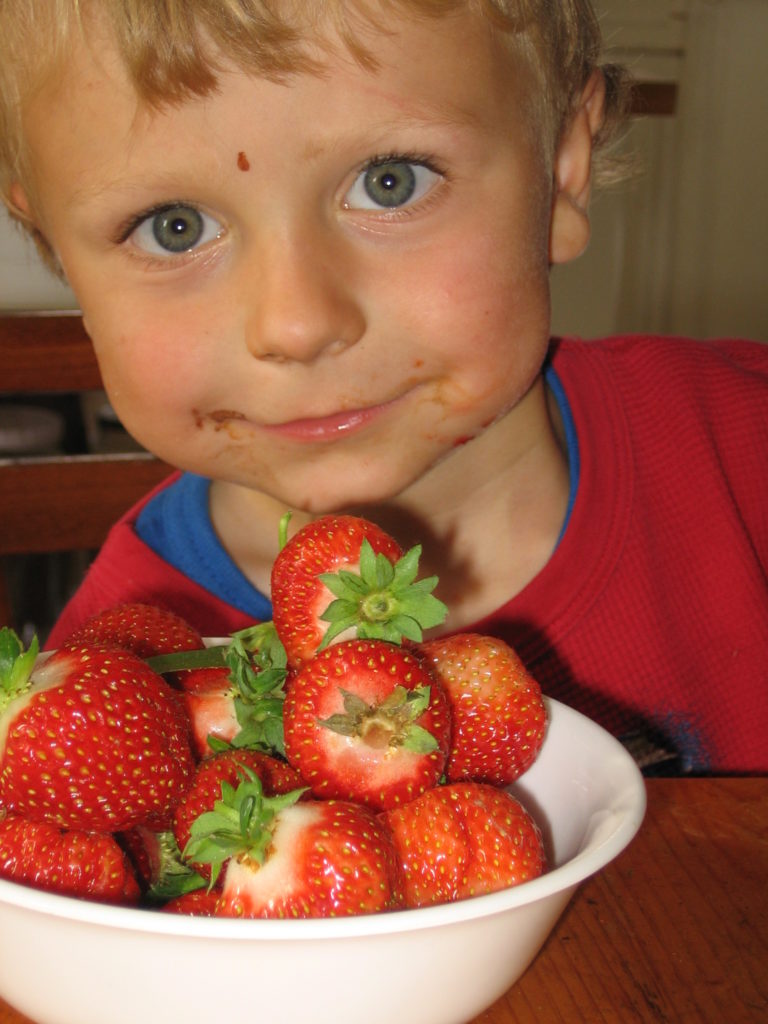 A child eating fresh-picked strawberries from a bowl